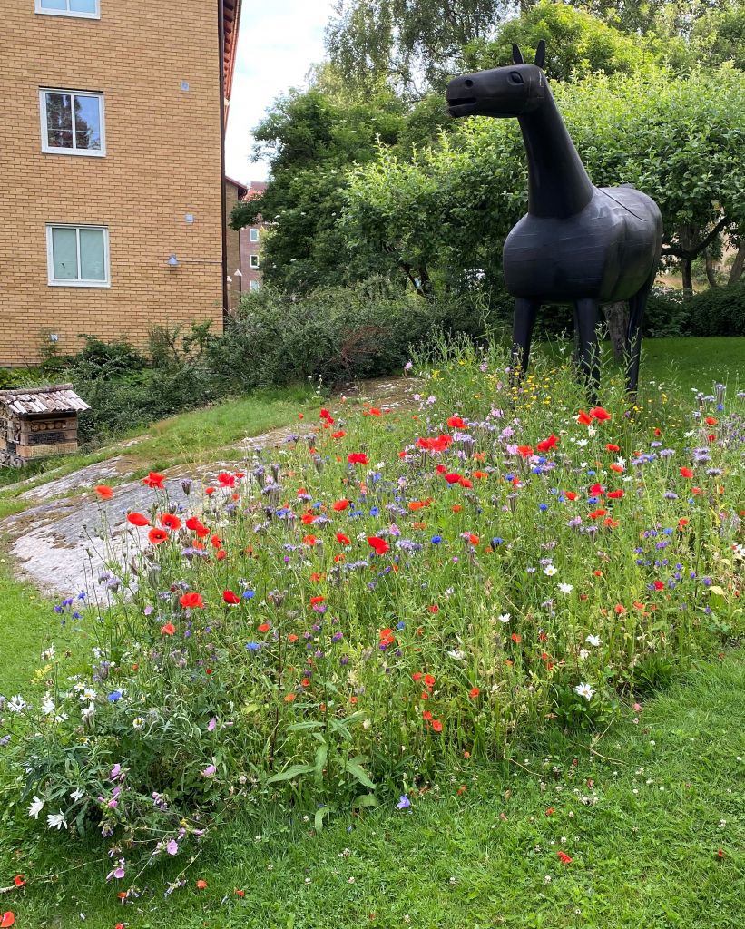 Insektshotell och konstverk av en häst. Framför finns en blommande äng. 