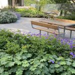 Gröna växter och lila blommor i rabatt. Bakom ses bord och bänkar på stenplattor.