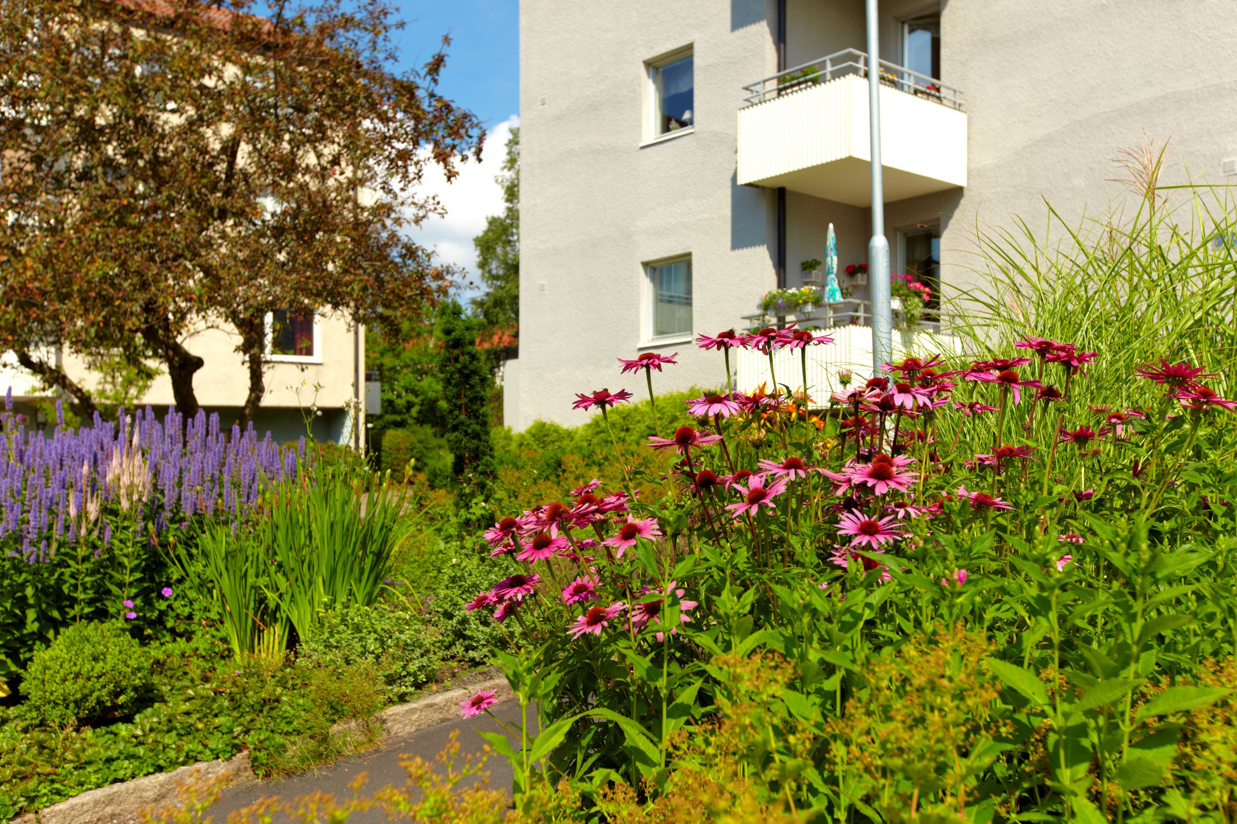 Bilden visar olika sorters blommor och ett hus i Järnbrott, Göteborg