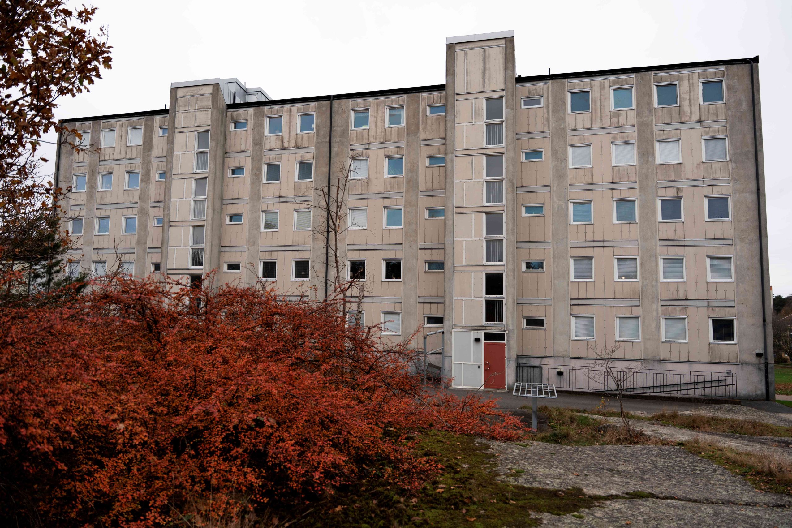 En bild av en gårdsmiljö