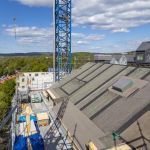 Utsikten från högsta våningen. Hustak och träd i solljus.