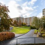 En gårdsmiljö med miljonprogramhus i bakgrunden.