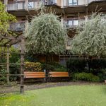 En grönskande innegård med bänkar och spaljeer.