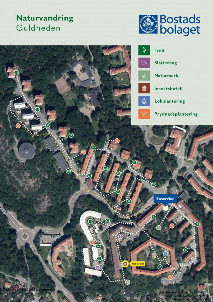 Visar punkt 10 på kartan över Guldhedens naturvandring. 