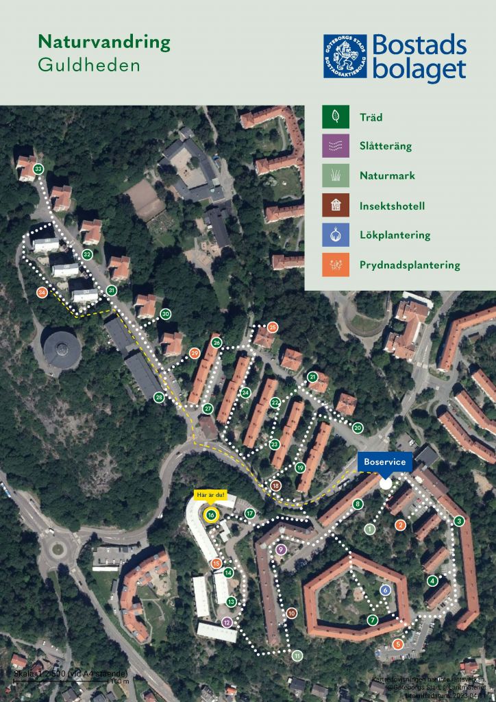 Visar punkt 16 på kartan över Guldhedens naturvandring. 