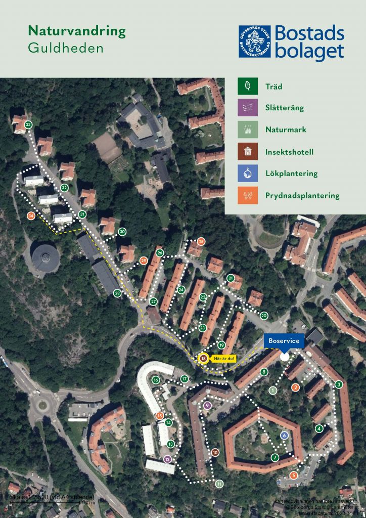 Visar punkt 18 på kartan över Guldhedens naturvandring. 
