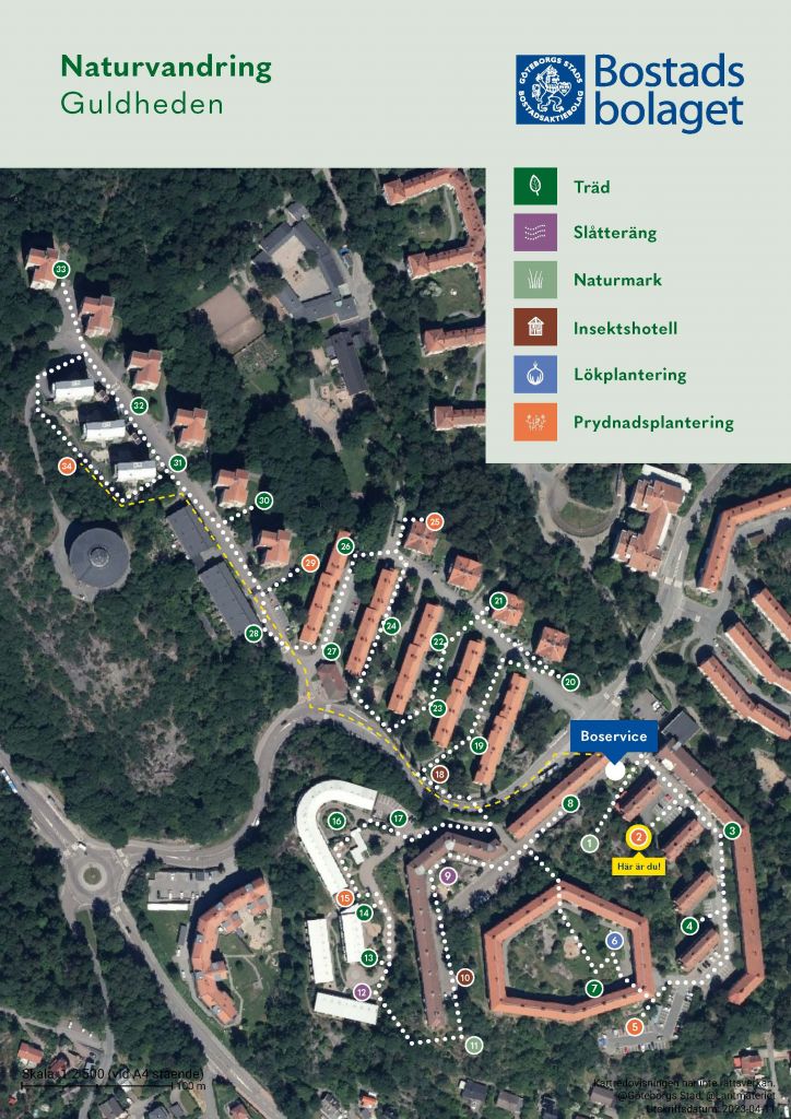 Visar punkt 2 på kartan över Guldhedens naturvandring. 