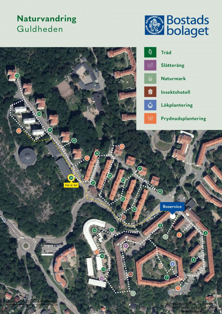 Visar punkt 28 på kartan över Guldhedens naturvandring. 