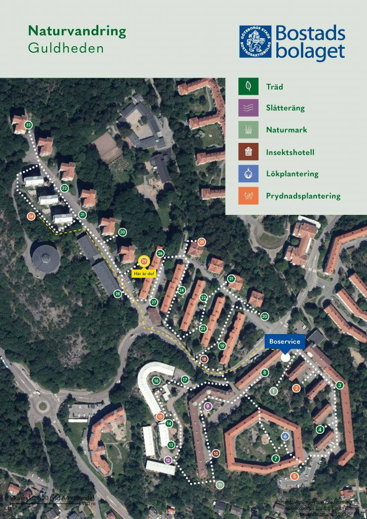 Visar punkt 29 på kartan över Guldhedens naturvandring. 