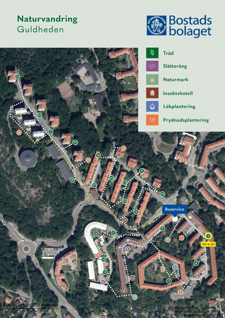 Visar punkt 3 på kartan över Guldhedens naturvandring. 