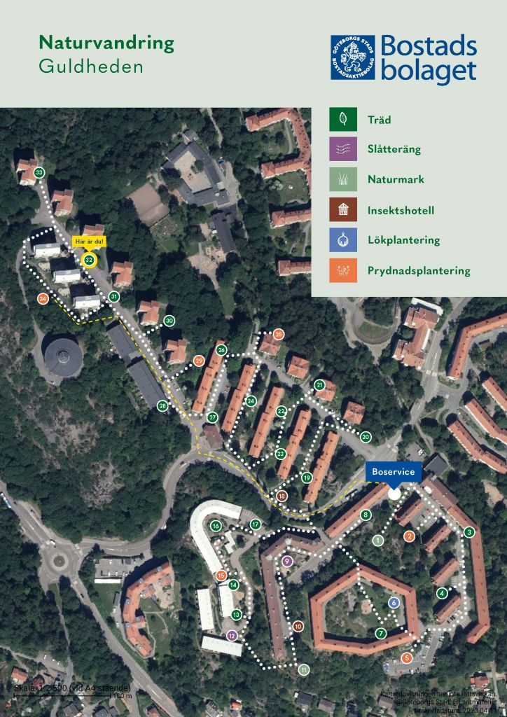 Visar punkt 32 på kartan över Guldhedens naturvandring. 