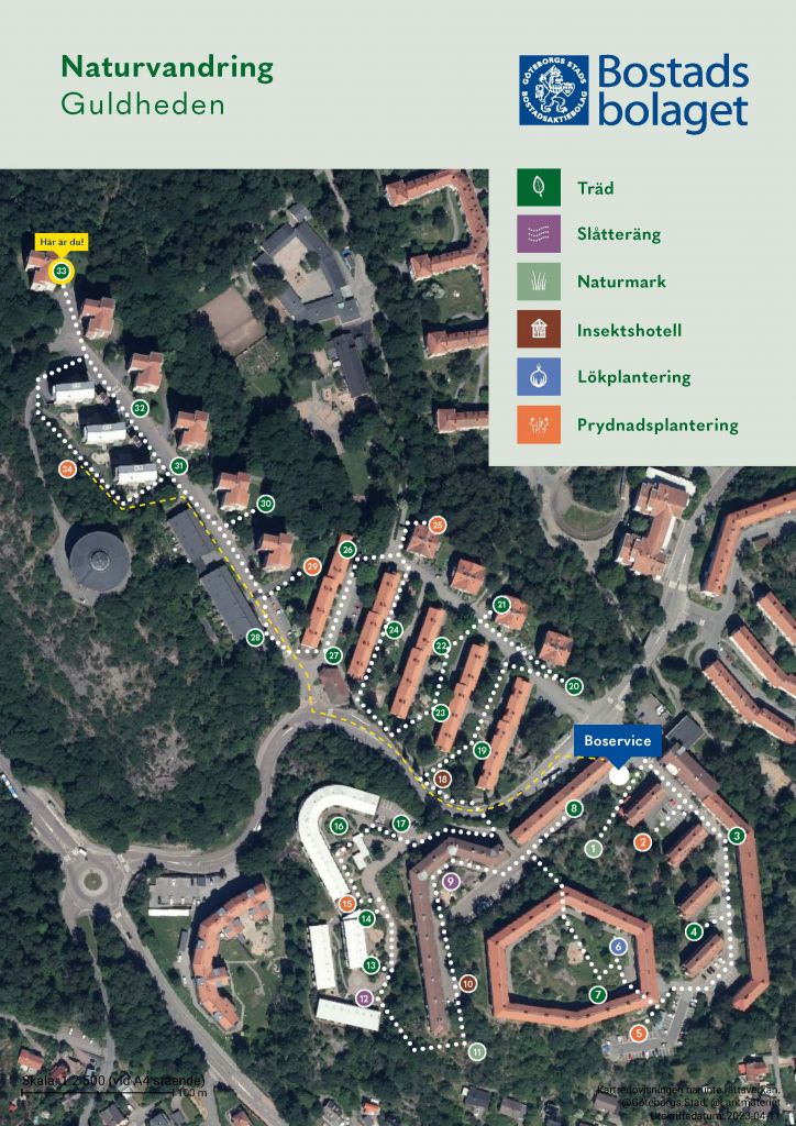 Visar punkt 33 på kartan över Guldhedens naturvandring. 