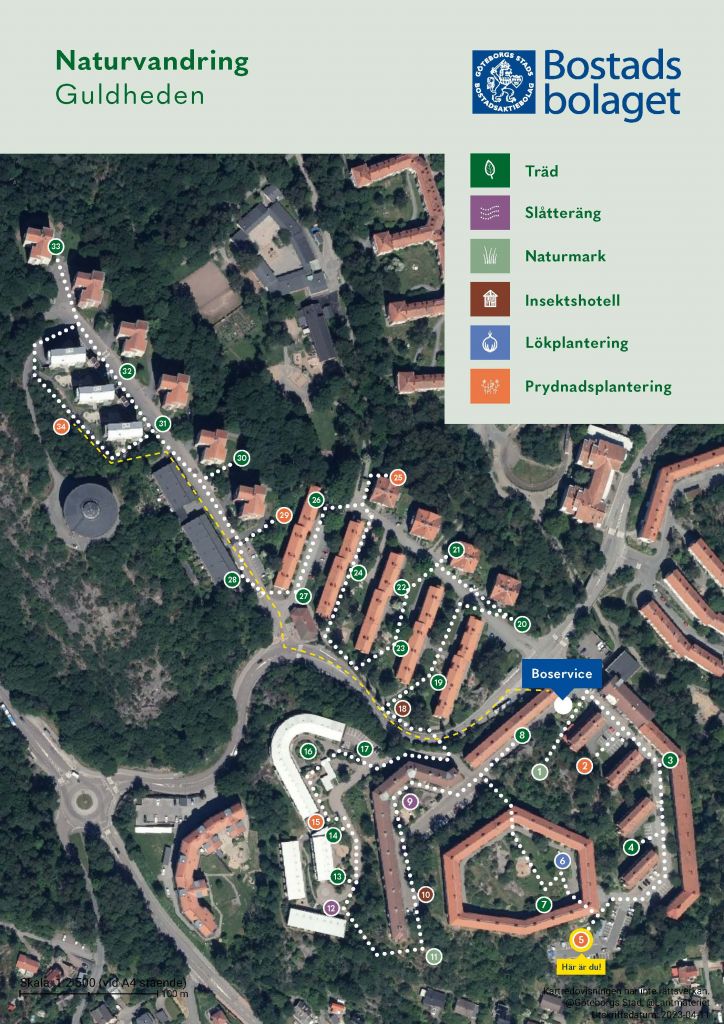 Visar punkt 5 på kartan över Guldhedens naturvandring.