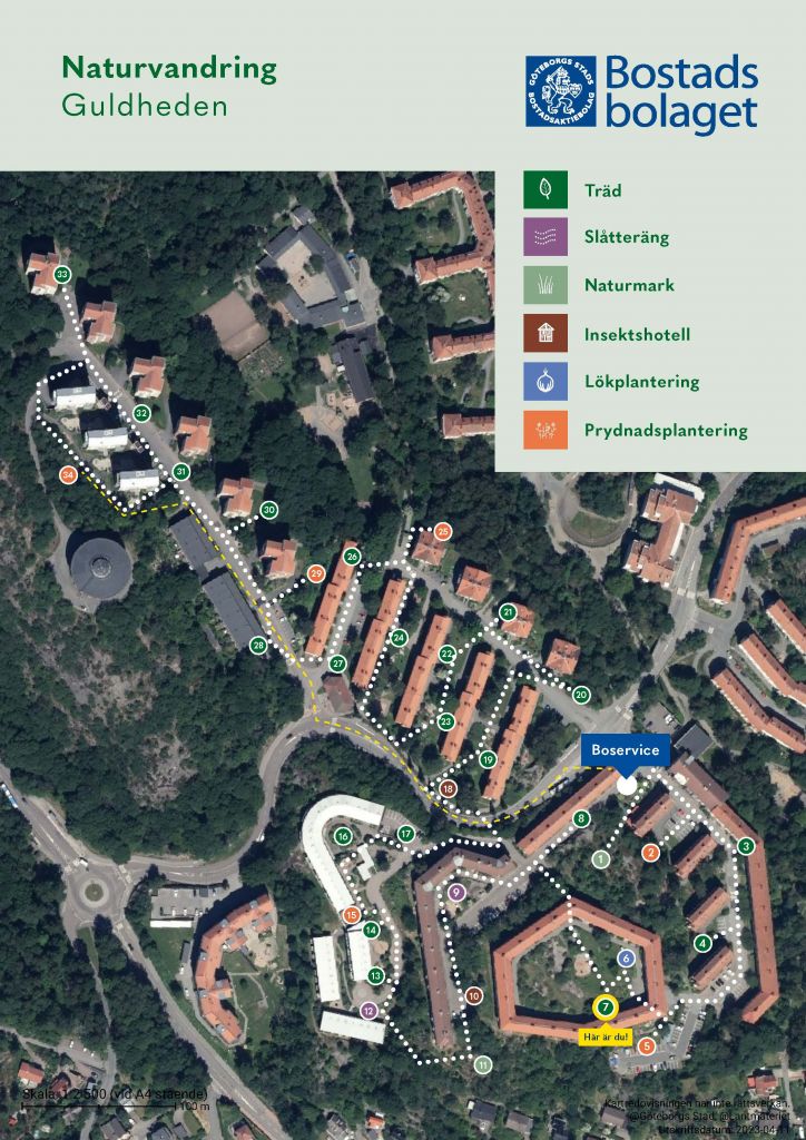 Visar punkt 7 på kartan över Guldhedens naturvandring.