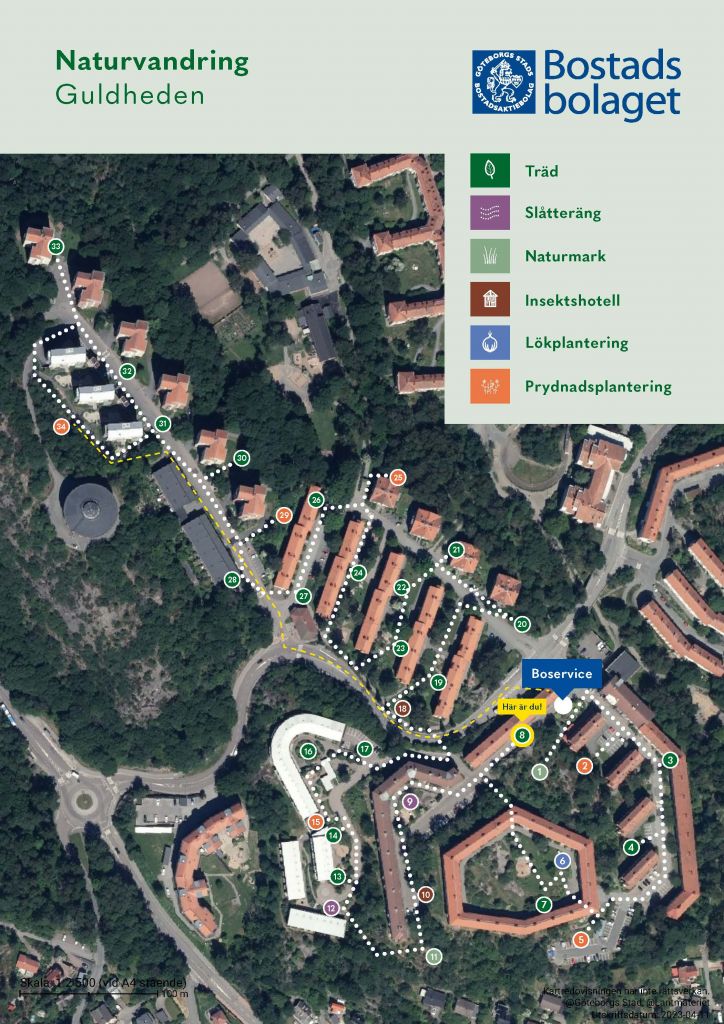 Visar punkt 8 på kartan över Guldhedens naturvandring. 