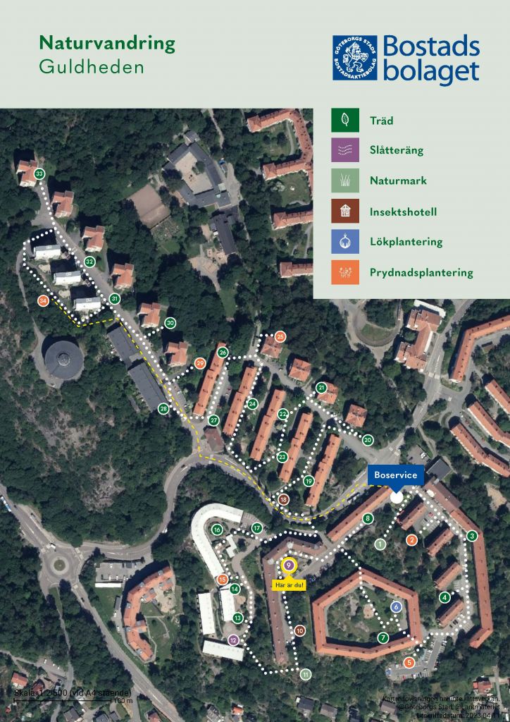 Visar punkt 9 på kartan över Guldhedens naturvandring. 