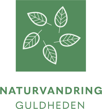 ikon naturvandring