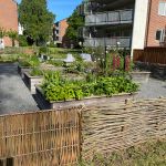 Odlingslådor i Järnbrott.